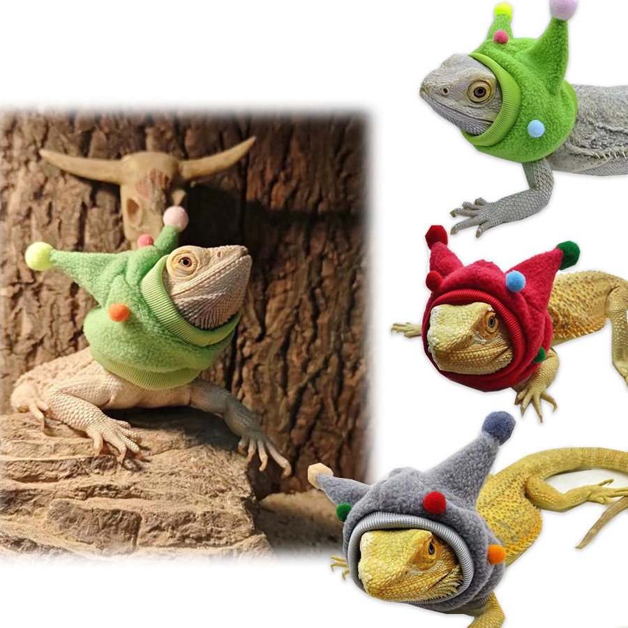 蜥蜴 帽子 衣服  爬宠外出遛蜥蜴变身装搞笑牛角球球帽围脖万圣节,宠物/宠物食品及用品,鸟禽服饰,淘宝优惠券,粉丝福利购,淘宝优惠卷