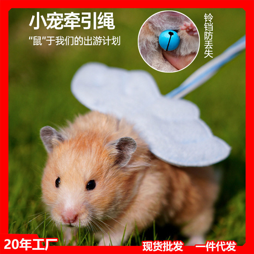 溜仓鼠牵引绳松鼠金丝熊外出龙猫背心式豚鼠花枝鼠小宠物天使绳子,宠物/宠物食品及用品,仓鼠,淘宝优惠券,粉丝福利购,淘宝优惠卷