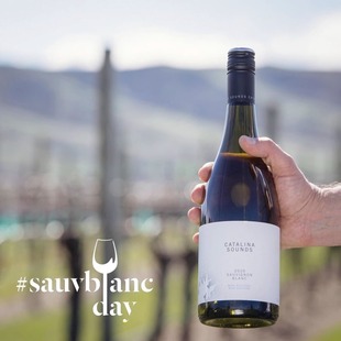 95分卡特琳娜之声新西兰马尔堡长相思干白葡萄酒 Catalina Sounds
