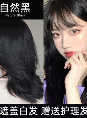 黑色染发剂膏自然黑复古植物自己在家染发女黑茶冷棕色纯盖白发男