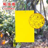 黄板双面粘虫板诱虫蓝板纸贴粘网果蝇粘板灭小黑飞虫果园蓟马大棚