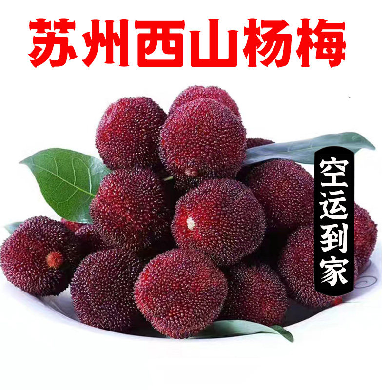 苏州东山杨梅【送货到家】现摘杨梅孕妇水果