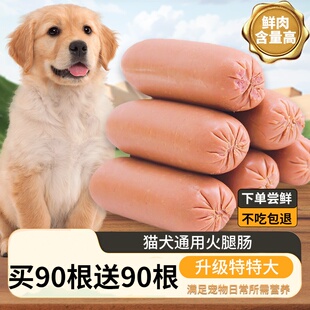 宠物零食火腿肠大胖狗肠猫咪狗补通用金毛泰迪训练奖励钙狗狗零食