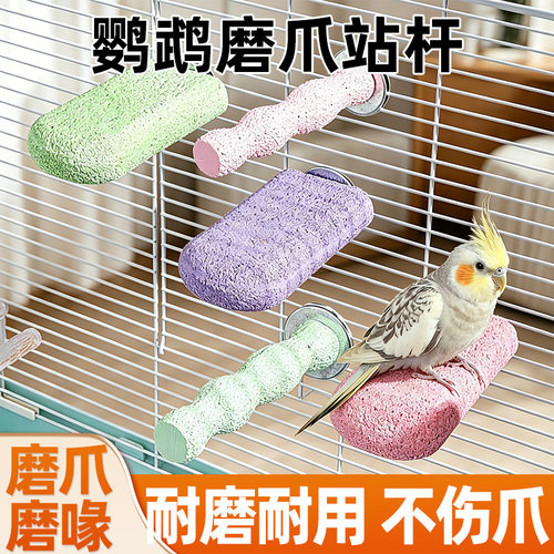 鹦鹉磨爪棒平台站台虎皮玄凤