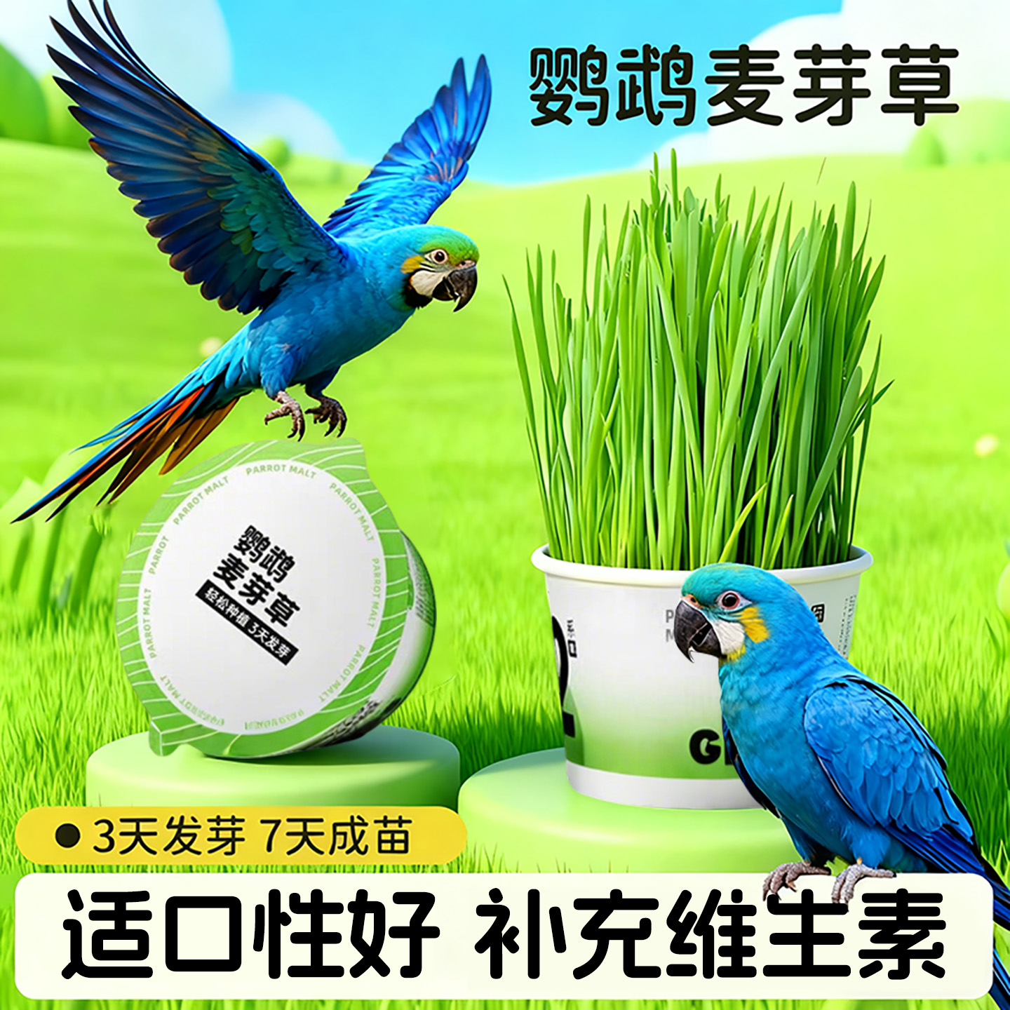 鹦鹉麦芽草懒人水培麦草种子鸟粮