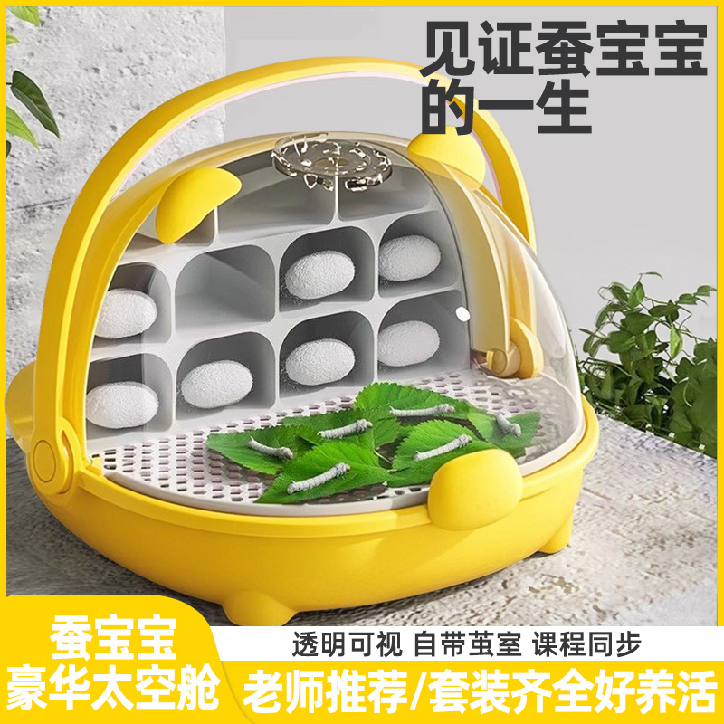 蠶寶寶蠶卵學生養蠶套裝活體幼蟲