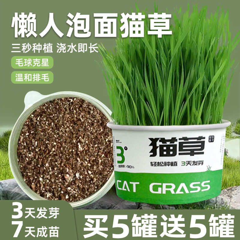 懒人泡面猫草宠物猫咪毛球克星