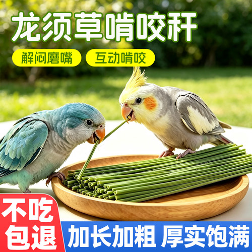 鹦鹉啃咬磨牙棒天然龙须草
