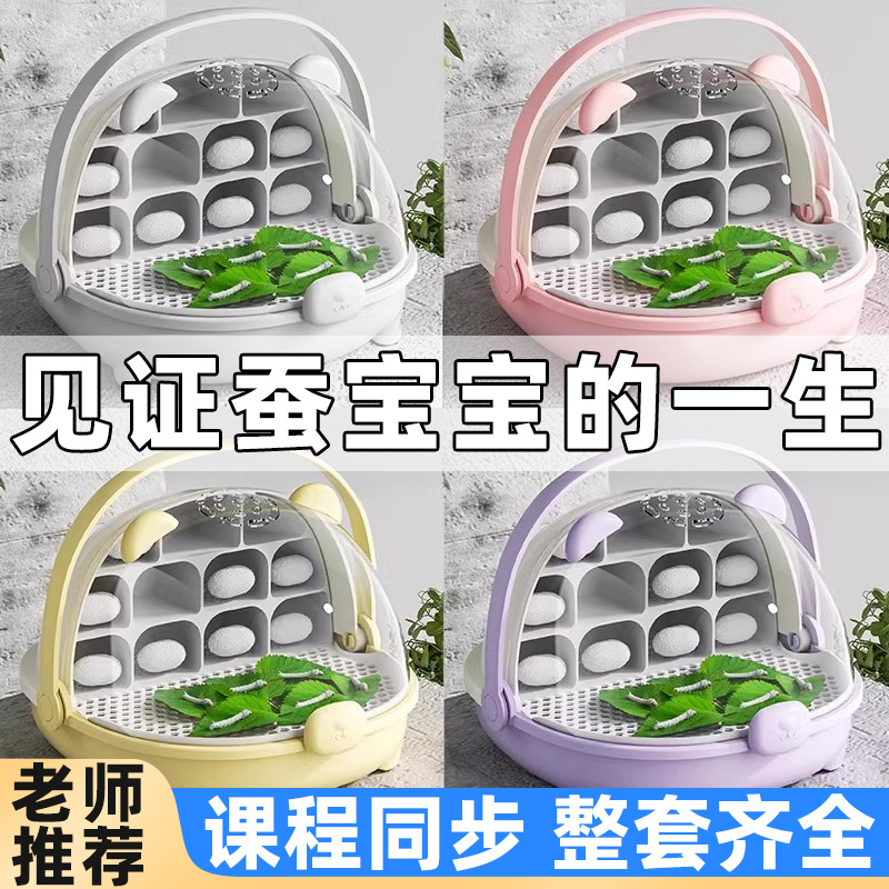 蠶寶寶蠶卵學生養蠶套裝