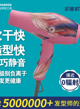 火之凤吹风机8960理发店发廊专用2200瓦大功率负离子护发电吹风筒