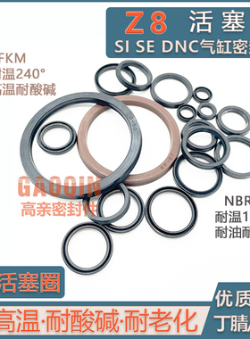 气缸Y型圈SI活塞密封Z8费斯托丁晴氟胶DNC63*53/70*60/80*70*4.25