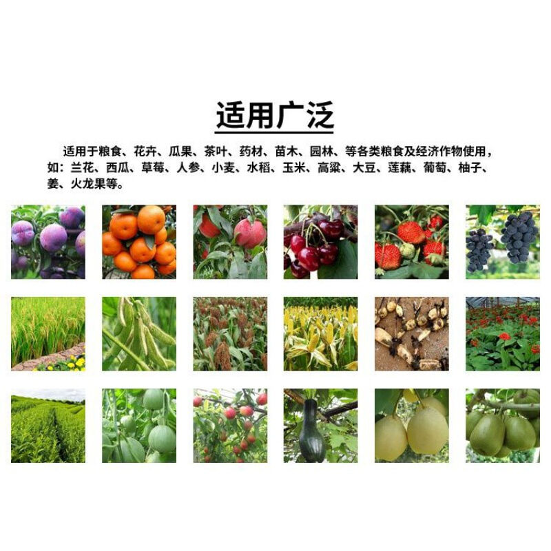 EM原露原液种植型em菌种微生物菌肥发酵剂生根-种植型(1kg)-封面