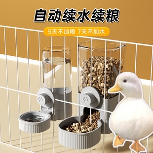 柯尔鸭自动喂食器饮水机鸭子碗食盆粮碗悬挂式小宠防打翻喝水的碗