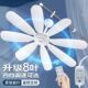 小吊扇学生宿舍小型蚊帐静音迷你家用可调速大风力八叶风扇厂直发