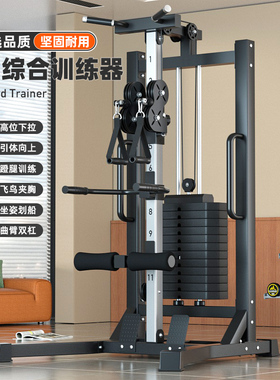 爱宸小飞鸟训练器家用龙门架坐姿划船机高位下拉器械多功能一体机