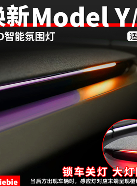 适用于特斯拉焕新版ModelY/YL/3BSD智能氛围灯装饰灯内饰改装配件