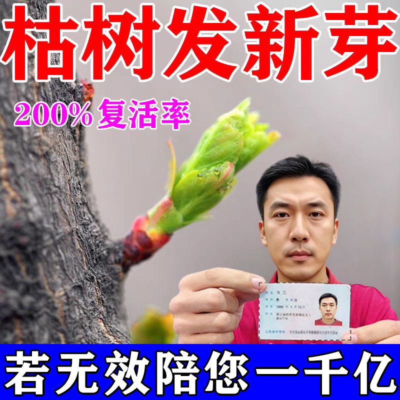 大树复活液死树成活生根药水枯树再生液强力壮苗猛生根营养液