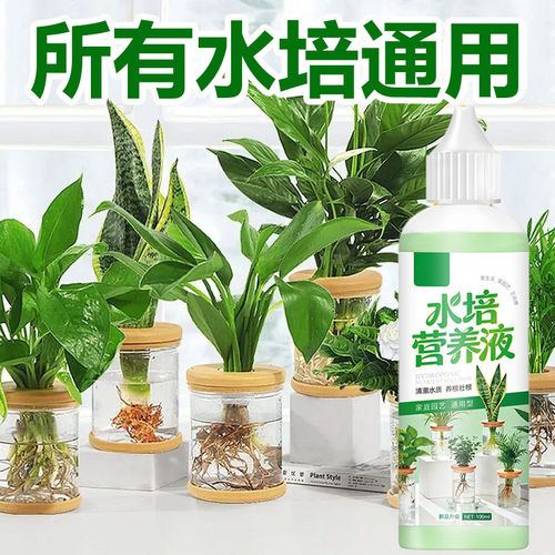 水培植物专用营养液通用型绿萝富贵竹转运龟背郁金香发财树肥料YL
