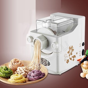 Electric Noodles Maker Household Pasta Making Machine Automa