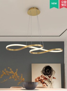 Modern New Creative LED pendant lights Kitchen alunum silica