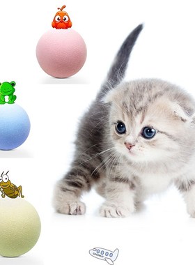 Pet Toy Interactive Ball Pet Squeaky Toy Cat Toy Play Chewin