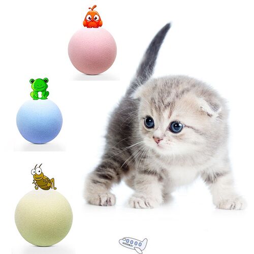 Pet Toy Interactive Ball Pet Squeaky Toy Cat Toy Play Chewin
