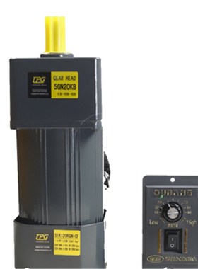 Motor 60W 220V AC Gear Speed Motor / Geared Motor 5IK60RGN-C