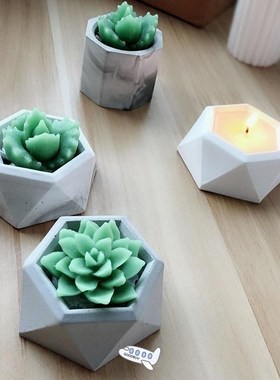 Polymer Clay Molds for Succulent Plant Flower Pot with Diamo