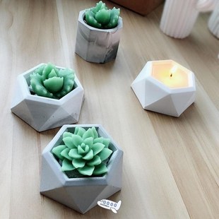 Polymer Clay Molds for Succulent Plant Flower Pot with Diamo