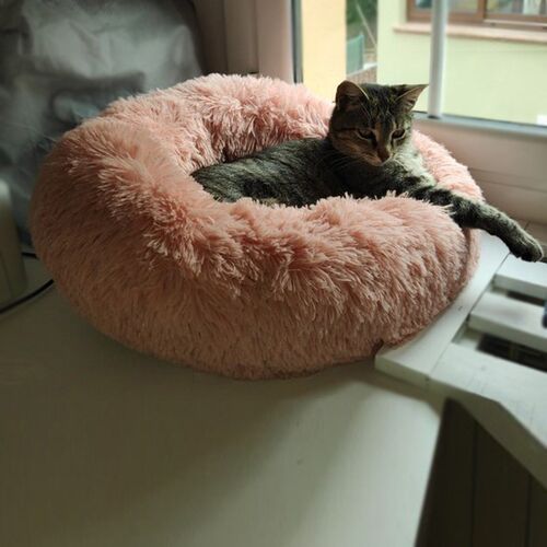 Round Beds House Soft Long Plush Best Pet Dog Bed For Do