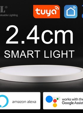 Modern LED Smart Ceiling Light Dimmable Home Lighing WiFi Tu