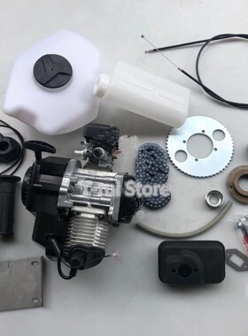 Mini scooter 2-stroke 49cc Engine Refitted bicycle model gas