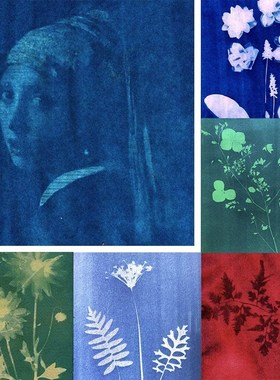 12pcs A4 Sun Activated Nature Print Paper Sun Activated Sunc