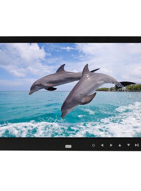 12 inch Digital Picture Frame 1280x800 Electronic Digital Ph