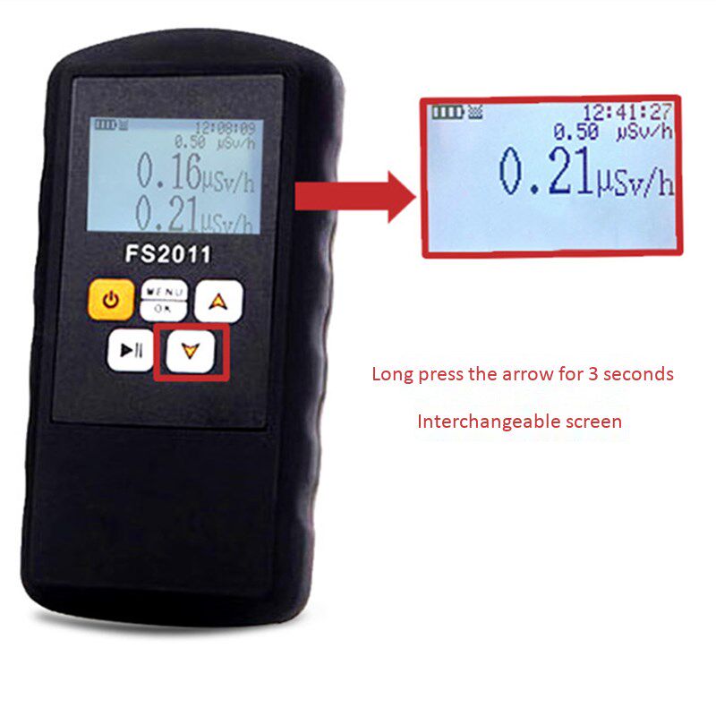 FS2011 Radiation Detector Geiger Counter Beta Gamma