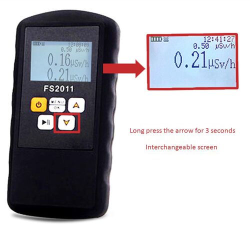 FS2011 Radiation Detector Geiger Counter Beta Gamma