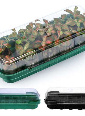 10 Holes Plant Seeds Grow Box With Transparent Cover Reusabl
