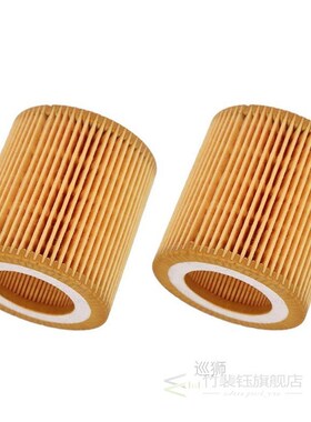 2Pcs 11427640862 Fuel Filters Oil Grid Fuel Filters Elements