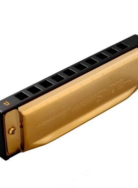 olden 10 Holes Blues Swan Harmonica  Key W/Case ift For M