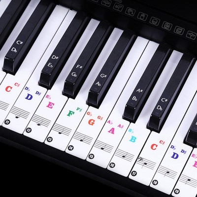 88/61 key color piano letter notes stickers keyboard hand r