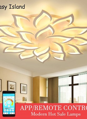 led ceiling chandelier modern Black/Whtie lighting fixtures