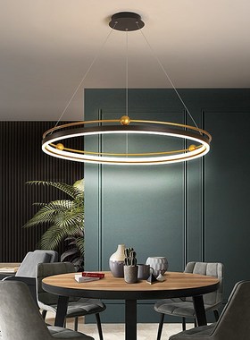 modern led chandelier circle lights for Interior design engi