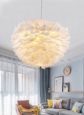 Nordic modern creative personality 's nest and feather chand