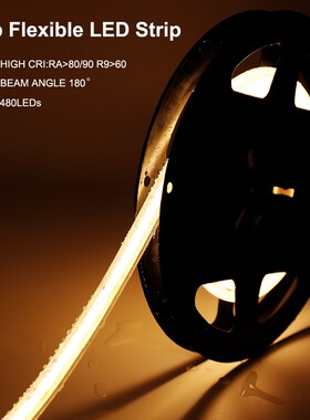 COB LED Strip Light High Density IP67 Waterproof COB LED Str