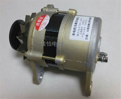 220v high power small generator 800W permanent magnet brushl