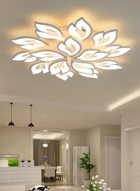 IRALAN new product launches LED ceiling lamp for modern livi