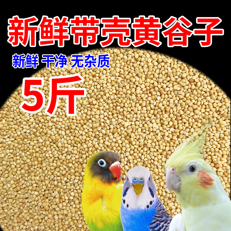 新黄谷子带壳小米5斤鹦鹉鸟饲料