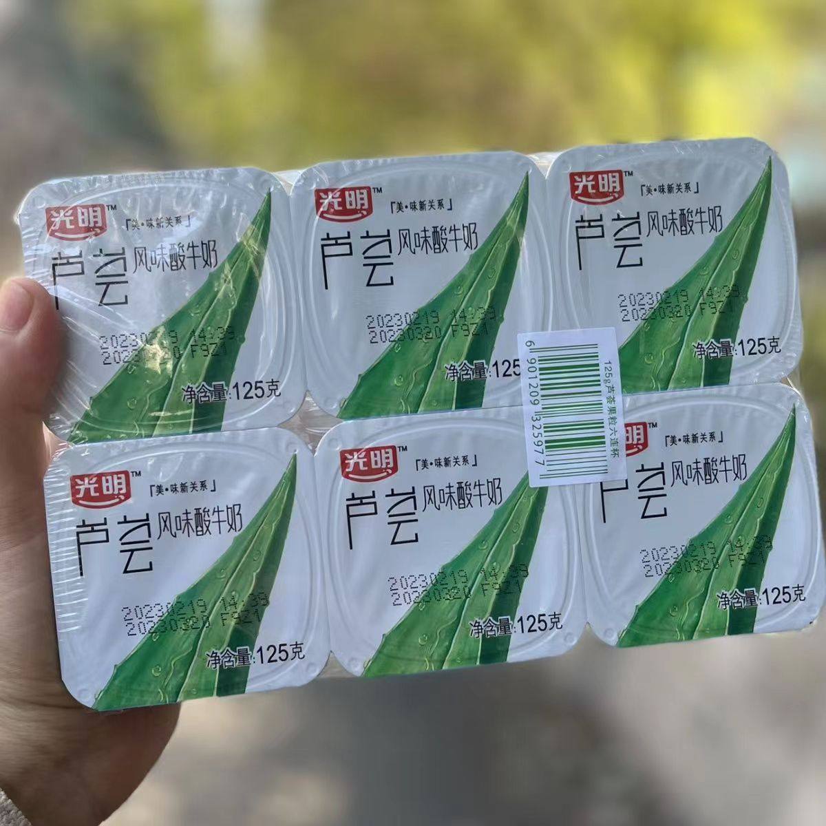 光明芦荟酸奶儿时味道芦荟果粒果肉酸牛奶125ml*12杯装
