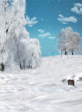 雪景背景布冬天雪地冬季树木天空拍照影楼摄影道具儿童拍照写真喷绘背景儿童雪地森林摄影布室内幕布影棚蓝色