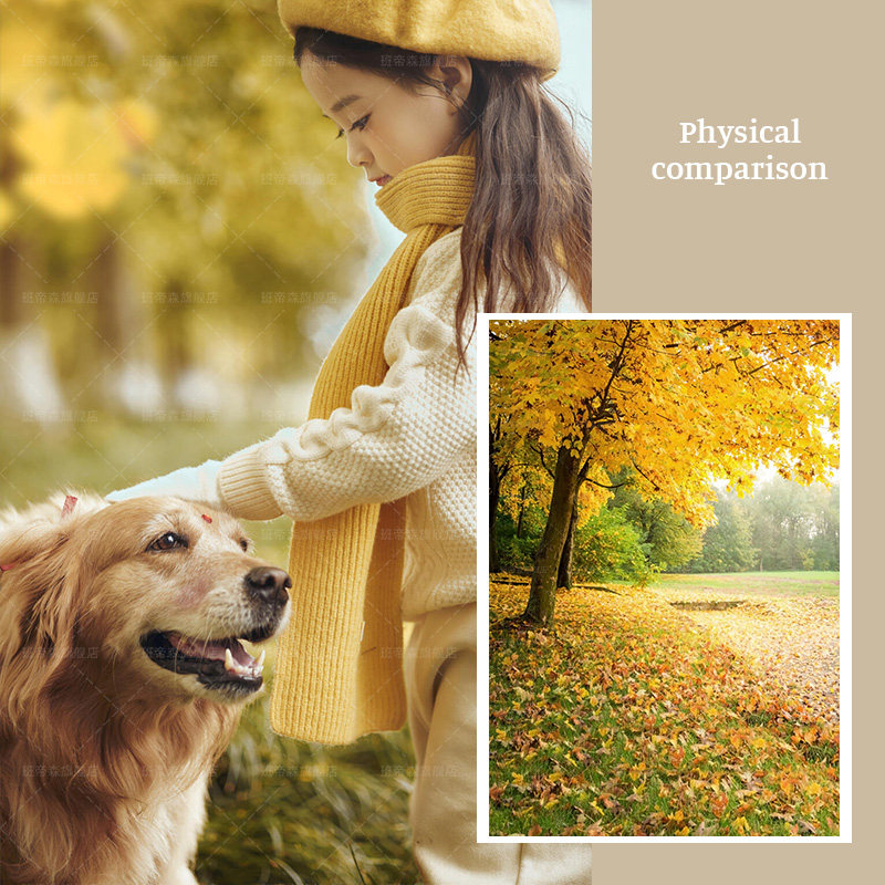 新款儿童少女秋季秋天银杏森林落叶主题拍照背景布抖音直播商拍婚纱影楼摄影大尺寸加厚写真墙背景纸MH-2027